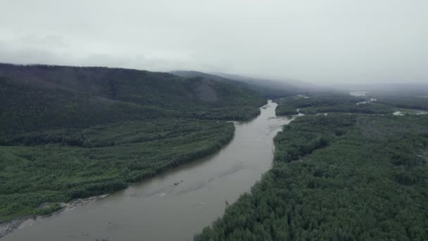 드론 이 프레임의 아름다운 풍경을 보여 줍니다. 숲 과산의 강. — 비디오
