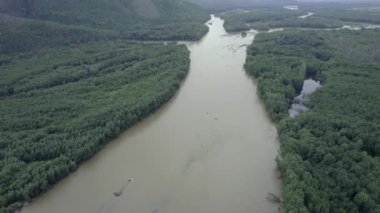 İHA 'nın çerçevesinde güzel bir manzara. Ormanlar ve dağ nehri.