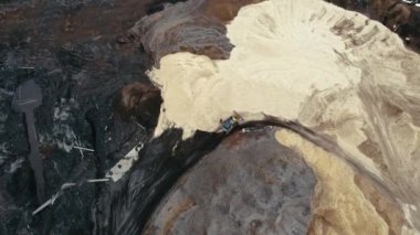 Rusya 'nın ormanlarının tahrip edilmesi, çevre sorunları, talaş, toprak, insansız hava aracı uçuşları