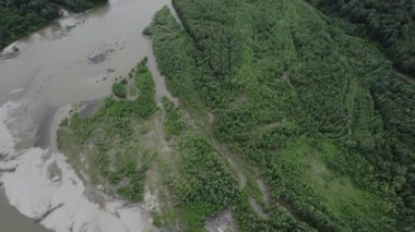 İHA 'nın çerçevesinde güzel bir manzara. Ormanlar ve dağ nehri.