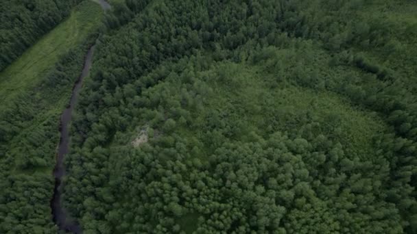 Forest, drone flight, Russia, village on the horizon — Vídeo de Stock