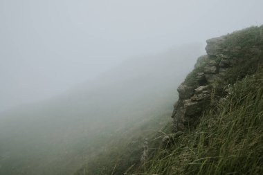 Saha sisi, görüş mesafesi zayıf, yeşil çiçekli otlar...