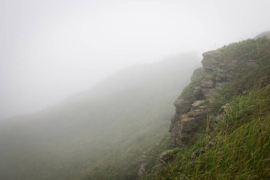 Saha sisi, görüş mesafesi zayıf, yeşil çiçekli otlar...