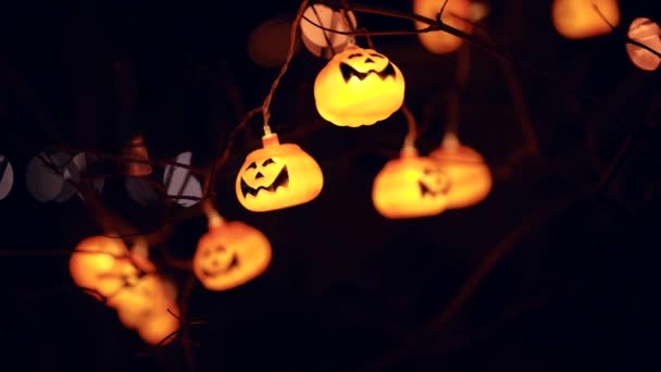 Thanksgiving pumpkin garland on a tree at night. Happy Thanksgiving decorated with pumpkins festive scene of the autumn festival — Stock Video