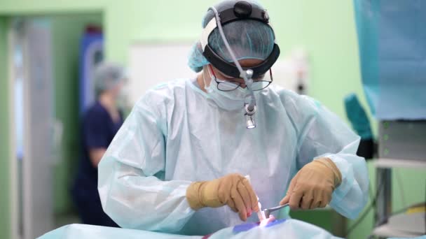 Ενδοδοντική χειρουργική επέμβαση στη σύγχρονη ωτορινολαρυγγολογική κλινική, γυναίκα χειρουργός διορθώνει το σχήμα της μύτης — Αρχείο Βίντεο