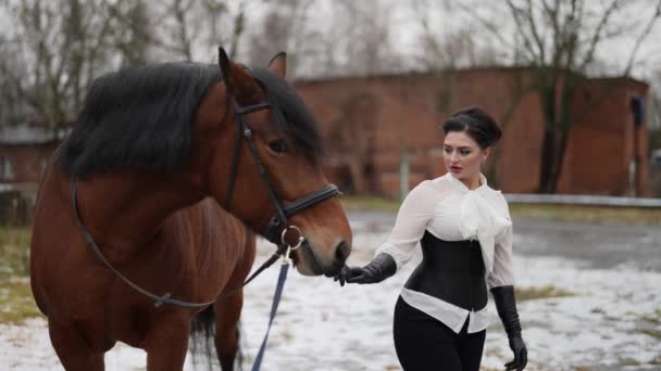 Estricto jinete está llevando corcel marrón en el patio del caballo en el día de invierno — Vídeos de Stock
