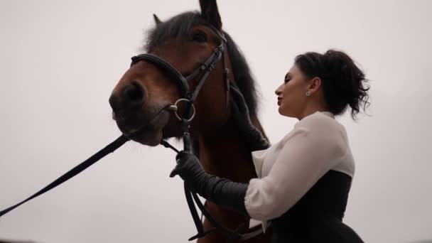 Elegante vrouw en bruin paard, portret tegen bewolkte herfstlucht — Stockvideo