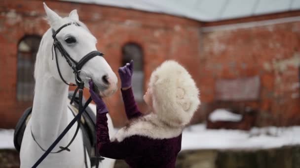 Роскошная красивая женщина играет с лошадью зимой, дама в мехах гладит белого чистокровного жеребца — стоковое видео