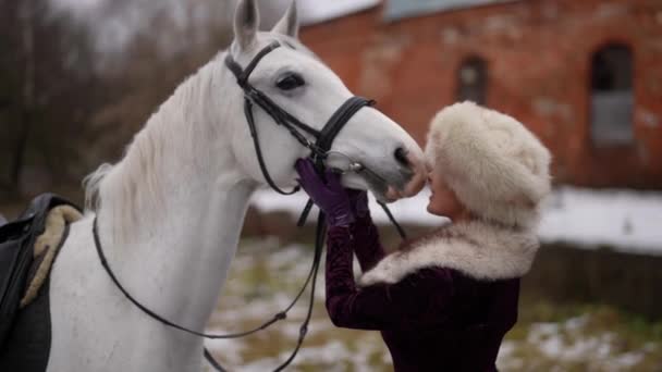 Noble está jugando con caballo blanco, besos animal en bozal, escena histórica — Vídeos de Stock