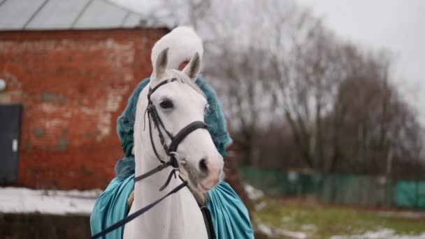Charming lady in furs is riding horse in yard in winter day, romantic historical shot — Video