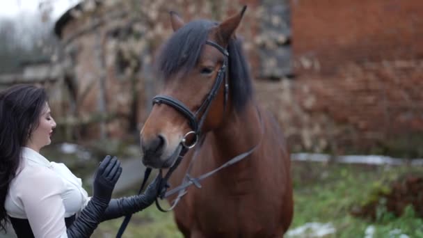 Adult pretty woman is posing with brown horse in old horse yard, holding reins — Video