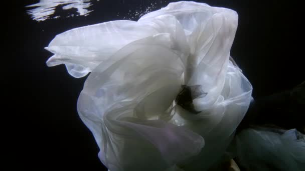 Amazing lady in white dress is floating underwater, unrealistic and dream concept — Vídeo de Stock