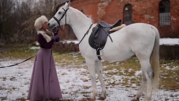 Escena medieval en el patio del caballo, hermosa mujer y semental de pura raza blanca en invierno — Vídeo de stock