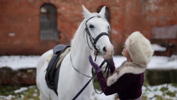 Horsewoman is communication with white horse in horse yard in winter, beautiful woman — Αρχείο Βίντεο