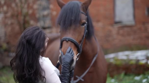 Beautiful brunette woman is embracing muzzle of brown horse, love to animals — Stock videók