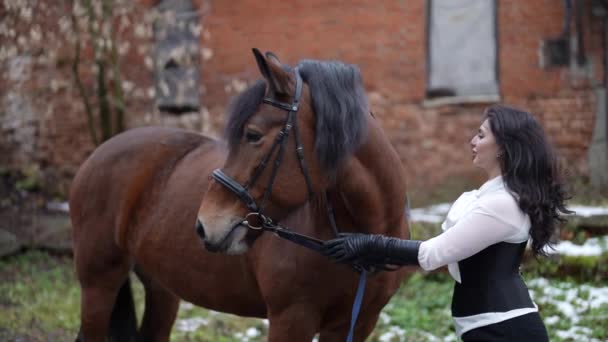 Elegant brunette woman and her brown steed in horse yard near old stable in winter day — Stock videók