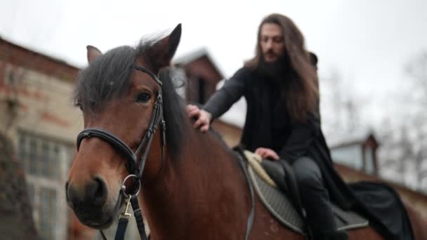 Nyugodt barna ló és rejtélyes hosszú hajú férfi fekete — Stock videók