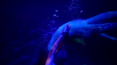 Yüzen bir denizkızı ile çarpıcı bir sualtı çekimi koyu mavi derinlikte, balık kuyruklu zarif bir kadın