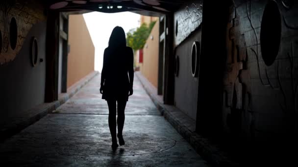 Silueta de la mujer sexy en el túnel oscuro, vista trasera de la señora sin preocupaciones caminando — Vídeo de stock