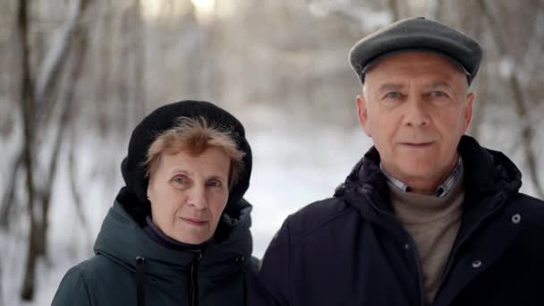 Starsi mężczyźni i kobiety spacerują razem w parku w zimowy dzień, stare małżeństwo — Wideo stockowe