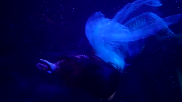 Undine pływa w głębi w błękitnej ciemności oceanu, sztuki i fantazji shot — Wideo stockowe