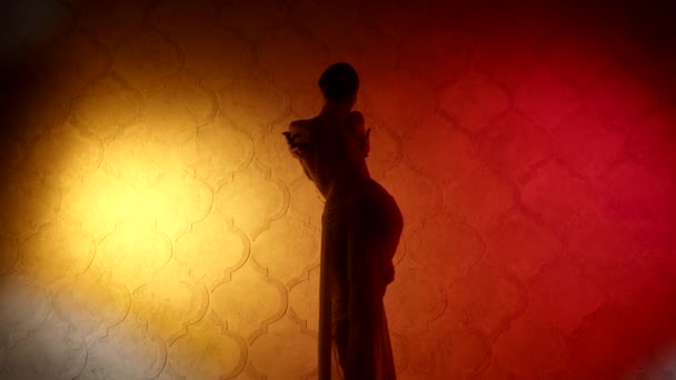 Exotická peep show, záhadná dáma tančí orientální tanec, zadní pohled na siluetu — Stock video