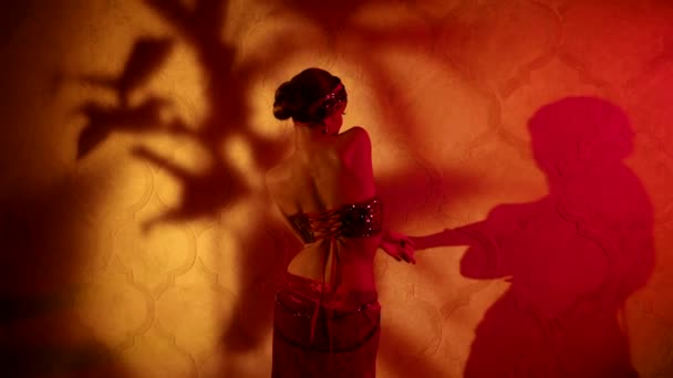 Arap profesyonel dansçı kadınla egzotik dans gösterisi, seksi kadın vücuduna dikiz üstü bakış. — Stok video