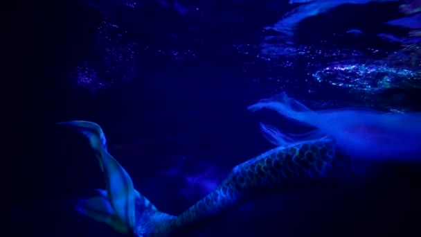 Incrível conto de fadas criatura em profundidade do mar, rabo de peixe de água-ninfa, sereia está flutuando — Vídeo de Stock
