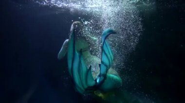 Gizemli peri masalı yaratığı yüzüyor ve derin bir göle veya nehre dalıyor, denizkızı suda yüzüyor.