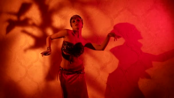 Fascinating belly dancer woman is moving seductively in palace in night, mysterious shadows — Stock Video