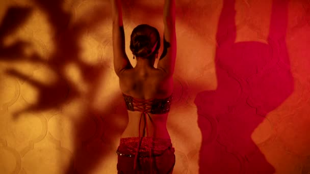 Dançarina árabe fêmea está se movendo sexualmente no lugar, concubina está dançando no harém, visão traseira — Vídeo de Stock