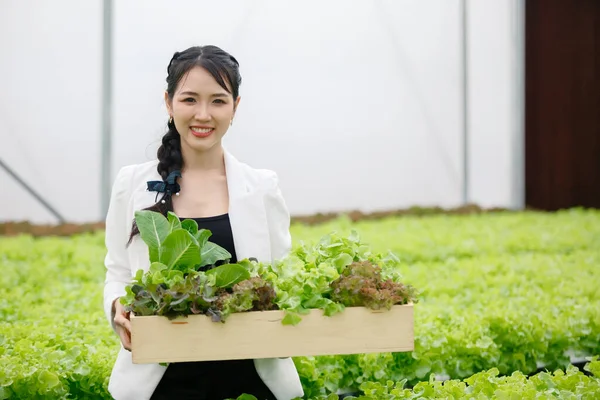 Азиатская Красивая Деловая Женщина Держит Деревянную Коробку Овощами Органической Теплице — стоковое фото