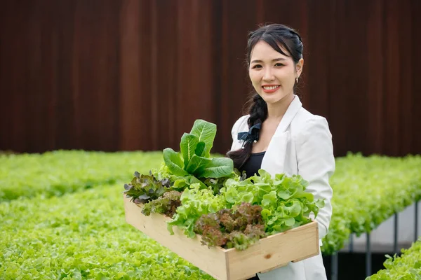 Asian beautiful businesswoman holding wooden box with vegetables in the organic greenhouse farm. self service customer.