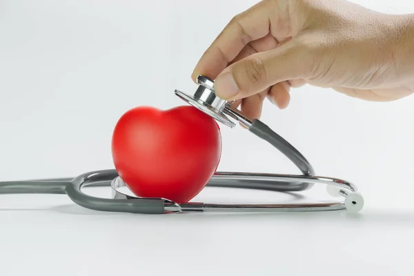 Diagnosis cardiologist concept. hand holding stethoscope and touching red heart on white background. Equipment check heartbeat and pulse of patient. copy space banner.