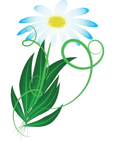 Illustration of daisy flower — Stock Vector