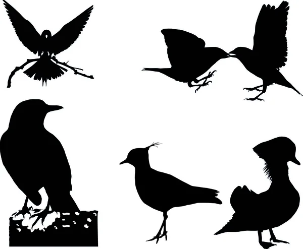 Силуэты диких птиц — стоковый вектор