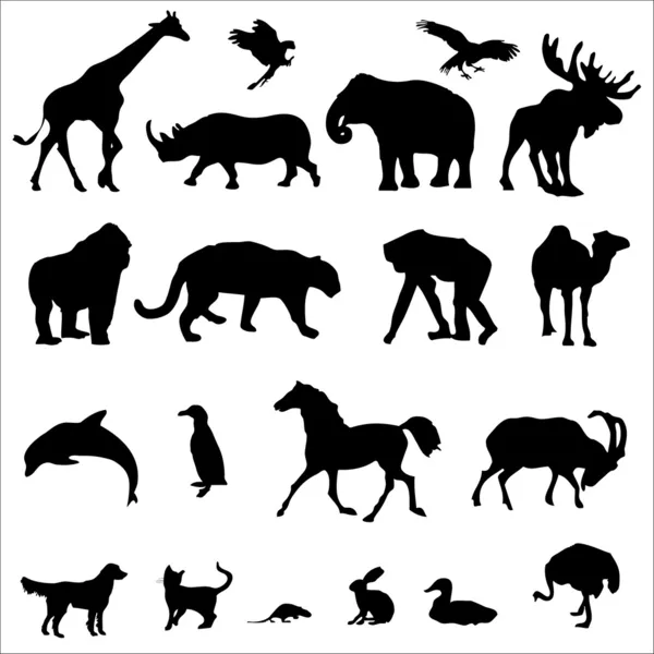 20 動物の黒いシルエット ベクトル イラスト — ストックベクタ