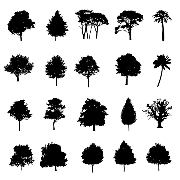 Satz von zwanzig schwarzen Vektorsilhouetten Bäume — Stockvektor