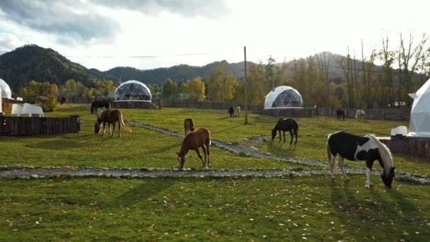 Eco hotell i en dal framför bergen. Ovanifrån drönaren — Stockvideo