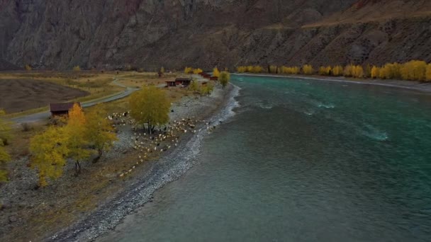 Öko hotel a folyóparton, közel a hegyekhez. Légfelülnézet — Stock videók