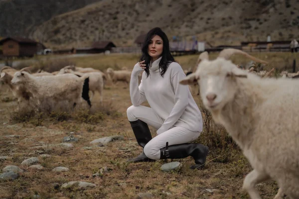 Brunette en vêtements blancs et bottes noires est assis parmi les chèvres dans le domaine — Photo