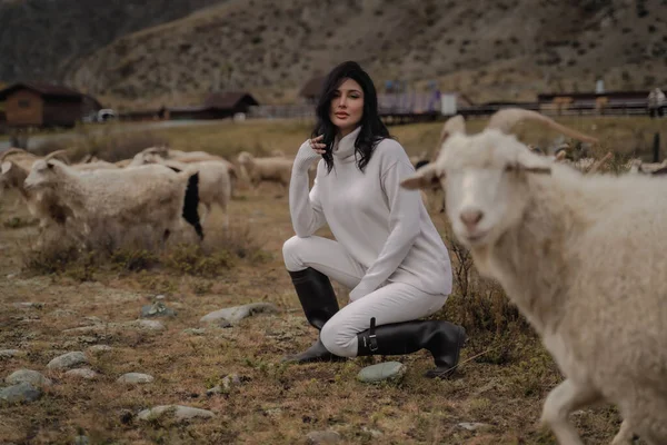 Morena em roupas brancas e botas pretas senta-se entre as cabras no campo Imagem De Stock