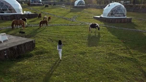 Eco hotel in het dal tegenover de bergen. Bovenaanzicht van drone. mooi meisje is lopen op gras — Stockvideo