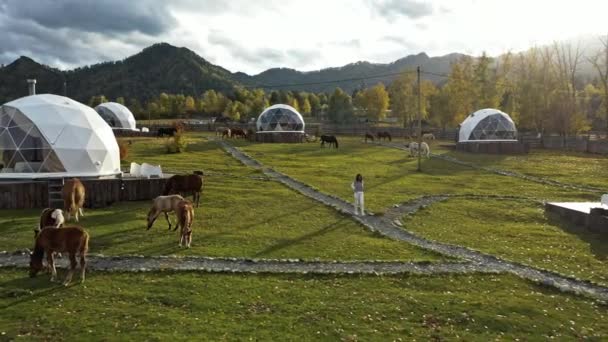 Eco hôtel dans la vallée en face des montagnes. Vue de dessus depuis un drone. Belle fille marche sur l'herbe — Video