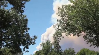 Fort collins, colorado içinde yanan orman yangını.