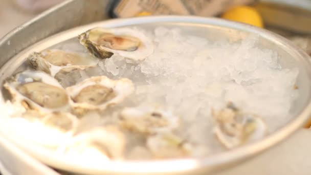 Oysters on ice — Stock Video