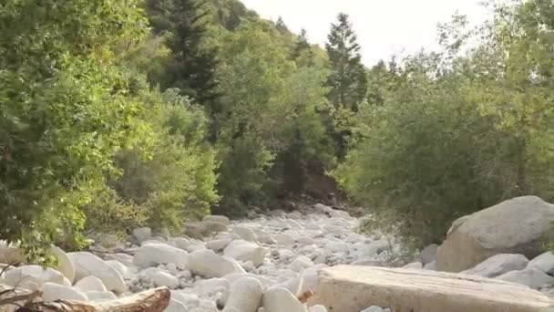 Seco lecho del río sequía amplio tiro — Vídeo de stock