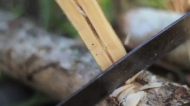 ağaç dalı sıkı atış dışarı hissesini yapma