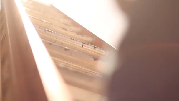 Homme escalade échelle sur le chemin du toit nouvelle maison .