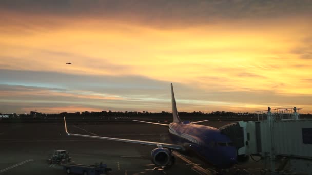 Plane at gate during sunrise. — Stock Video